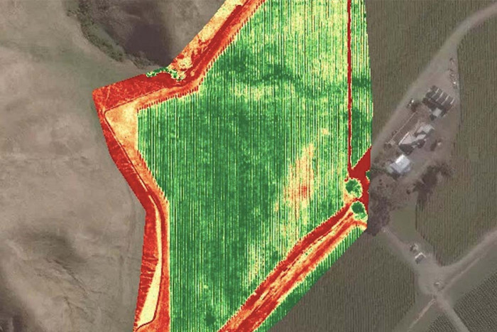 An example of Bevin Lealand's NDVI aerial mapping