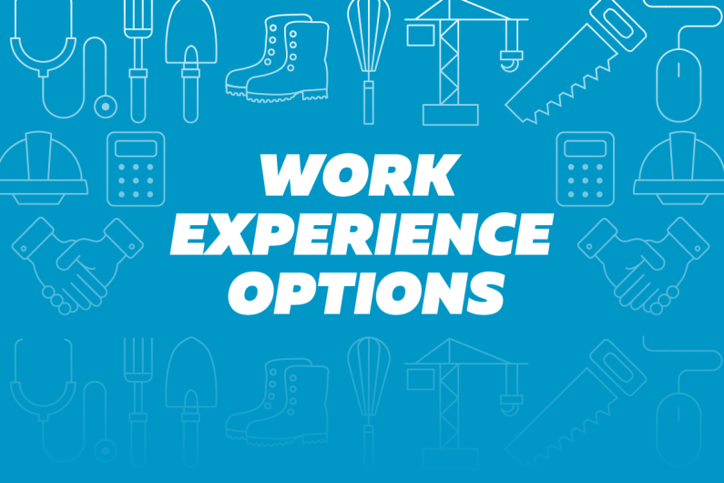 2oa3 Work experience options