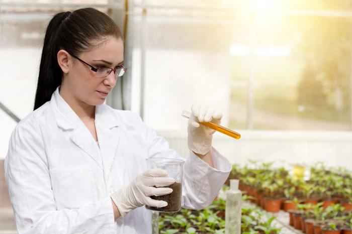 Scientist stands in front of potted plants and pours liquid from a test tube into a beaker